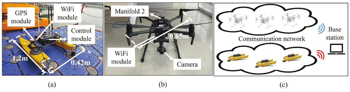 Figure 2 Refer to the following caption and surrounding text.