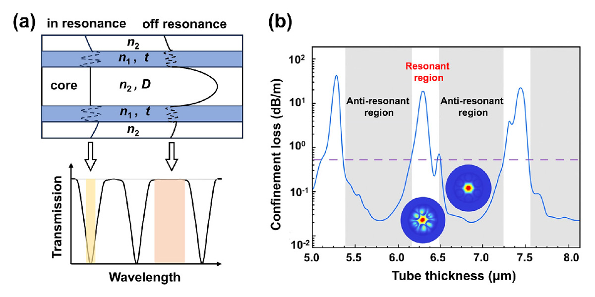 Figure 1 Refer to the following caption and surrounding text.