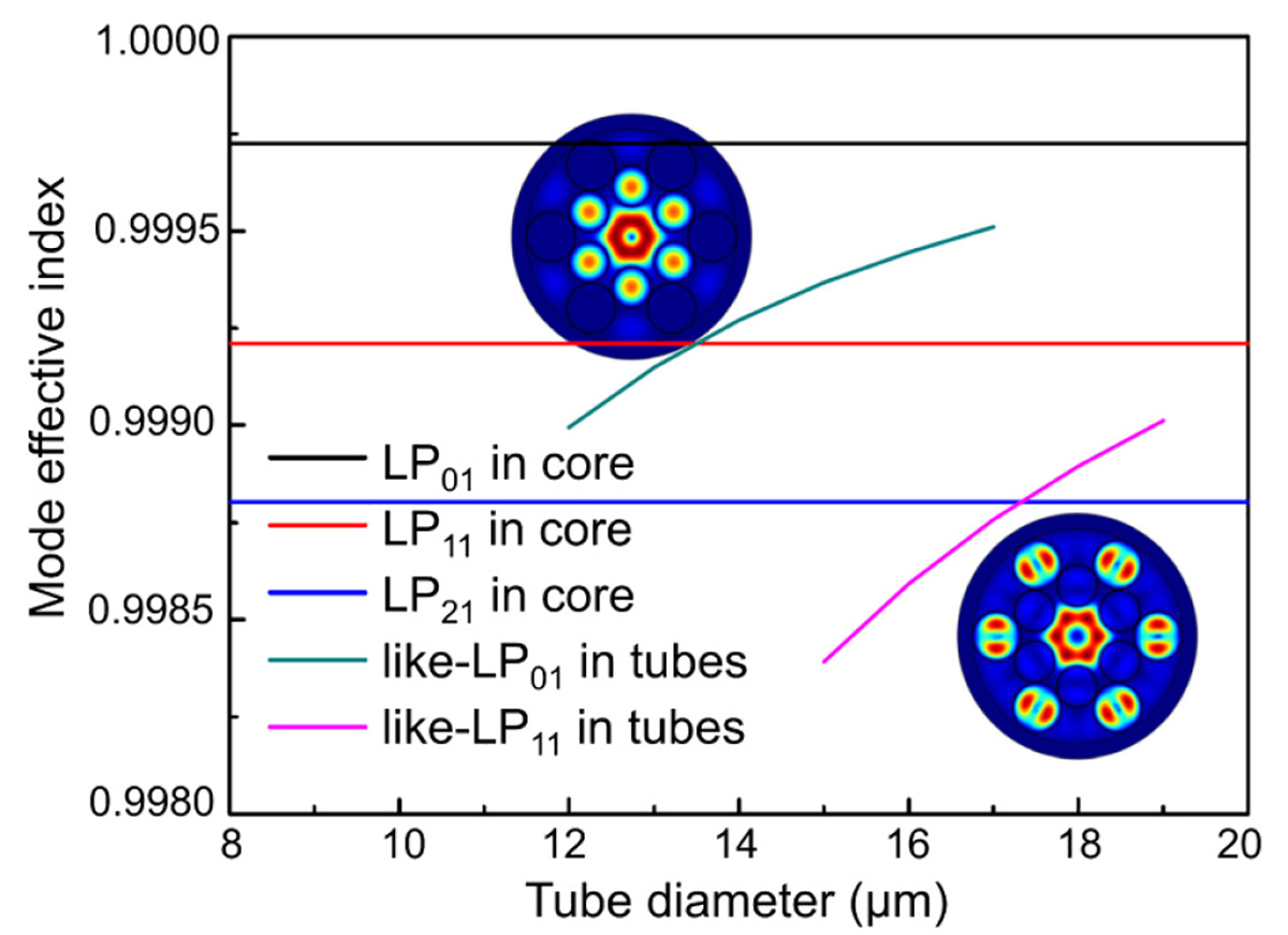 Figure 2 Refer to the following caption and surrounding text.