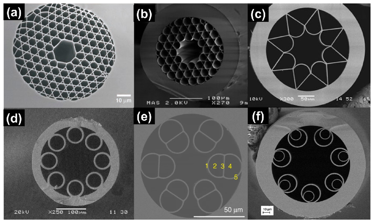 Figure 3 Refer to the following caption and surrounding text.