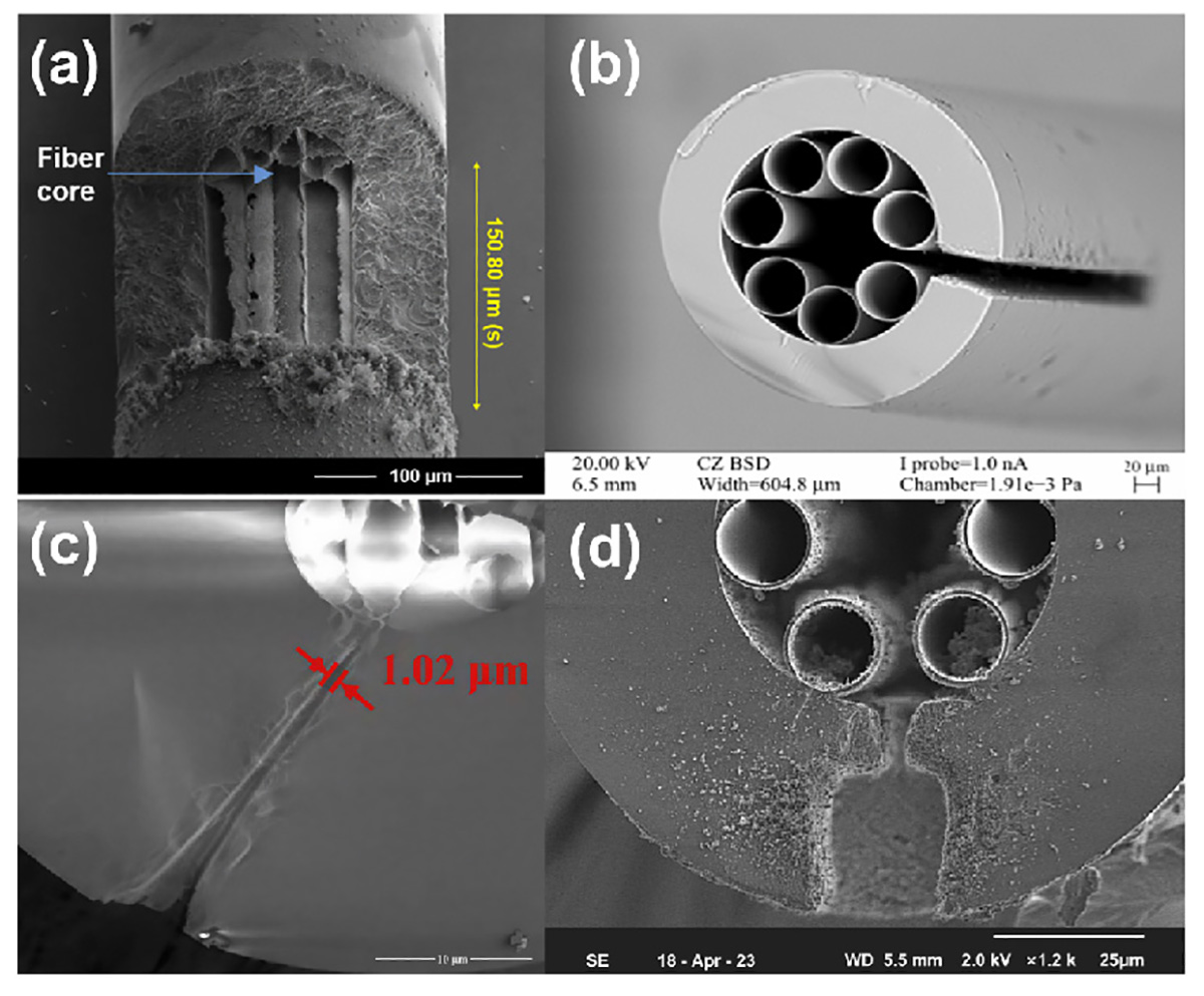 Figure 6 Refer to the following caption and surrounding text.