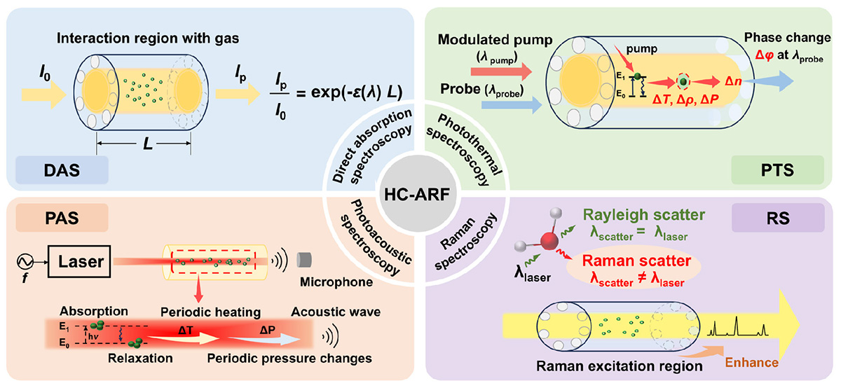 Figure 8 Refer to the following caption and surrounding text.