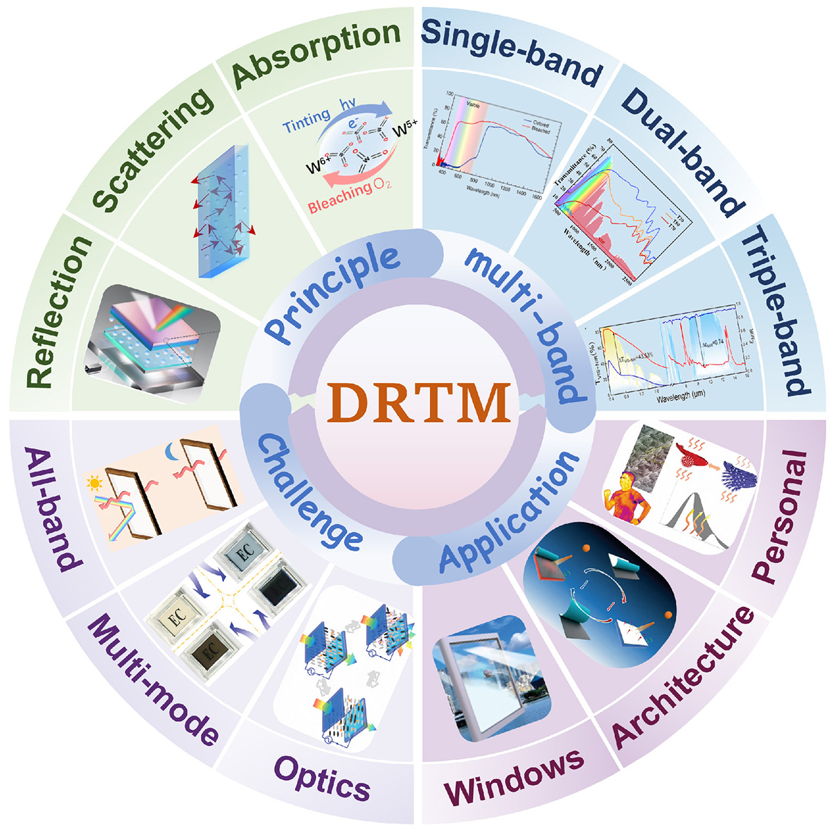 Figure 1 Refer to the following caption and surrounding text.