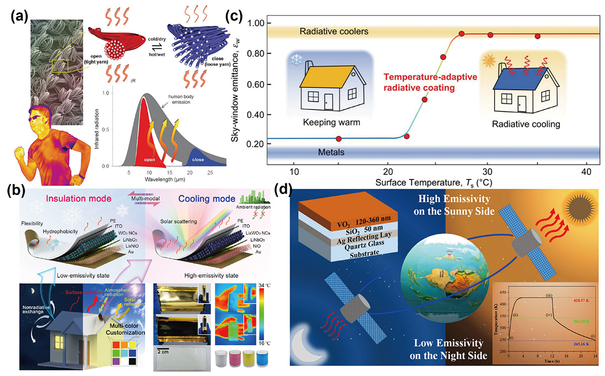 Figure 5 Refer to the following caption and surrounding text.