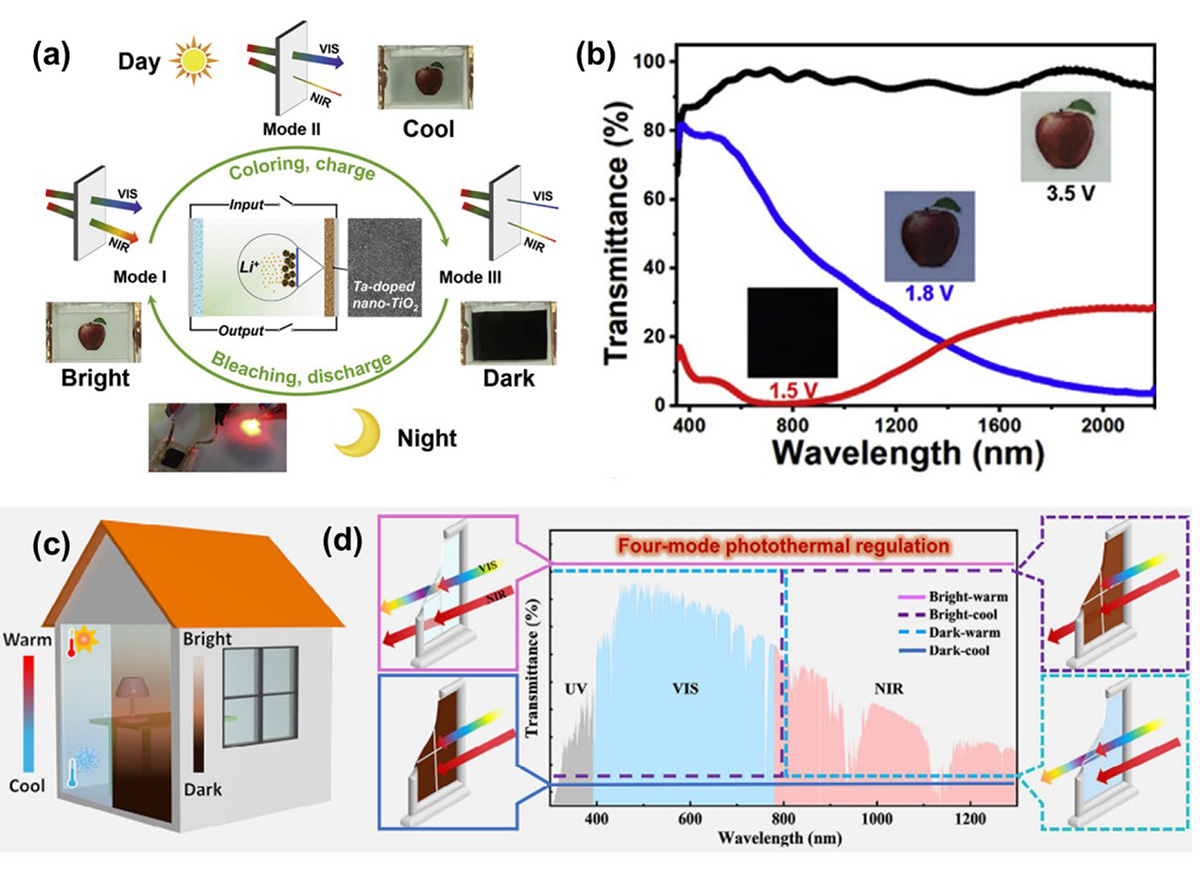 Figure 7 Refer to the following caption and surrounding text.