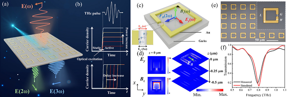 Figure 1 Refer to the following caption and surrounding text.