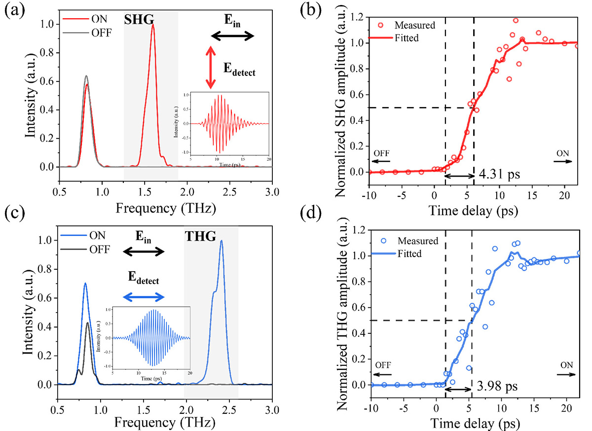 Figure 2 Refer to the following caption and surrounding text.