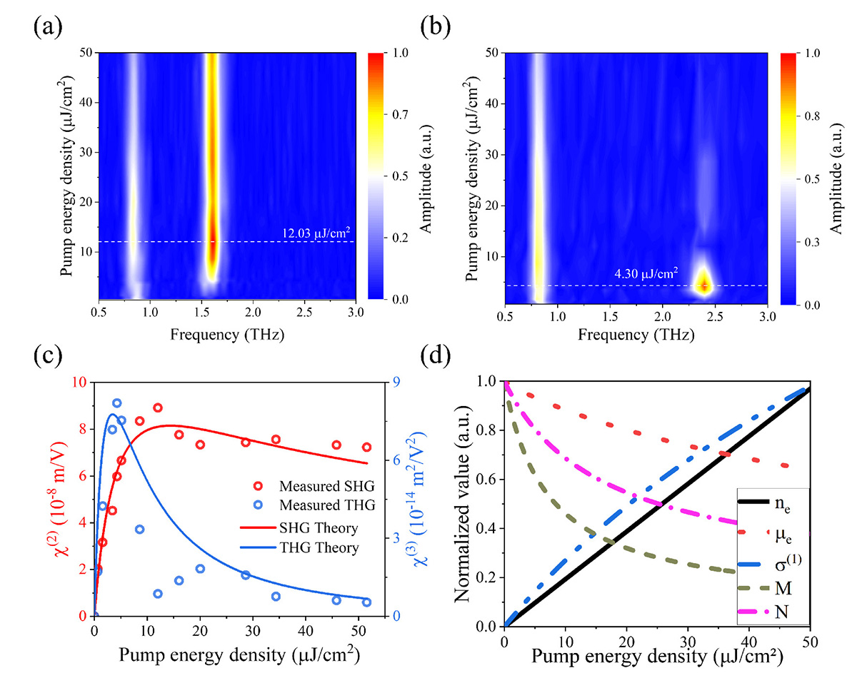 Figure 3 Refer to the following caption and surrounding text.