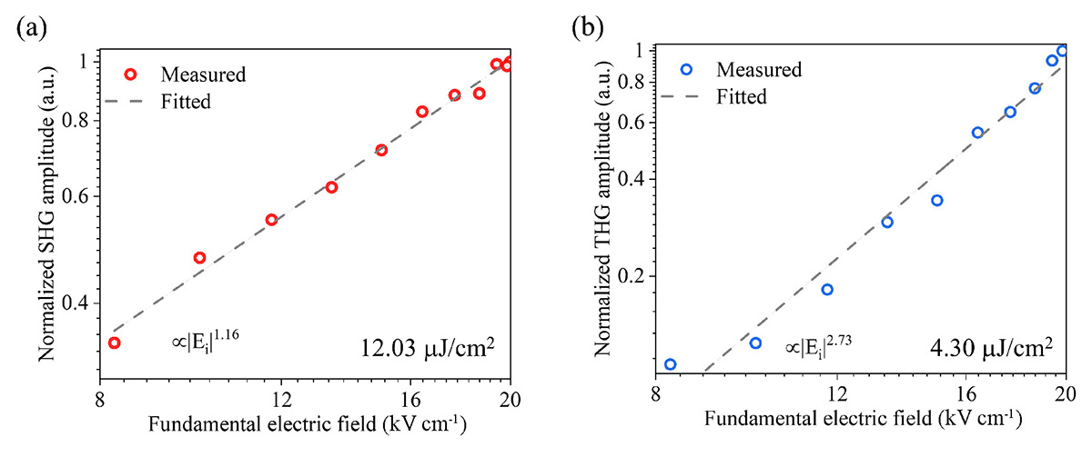 Figure 4 Refer to the following caption and surrounding text.
