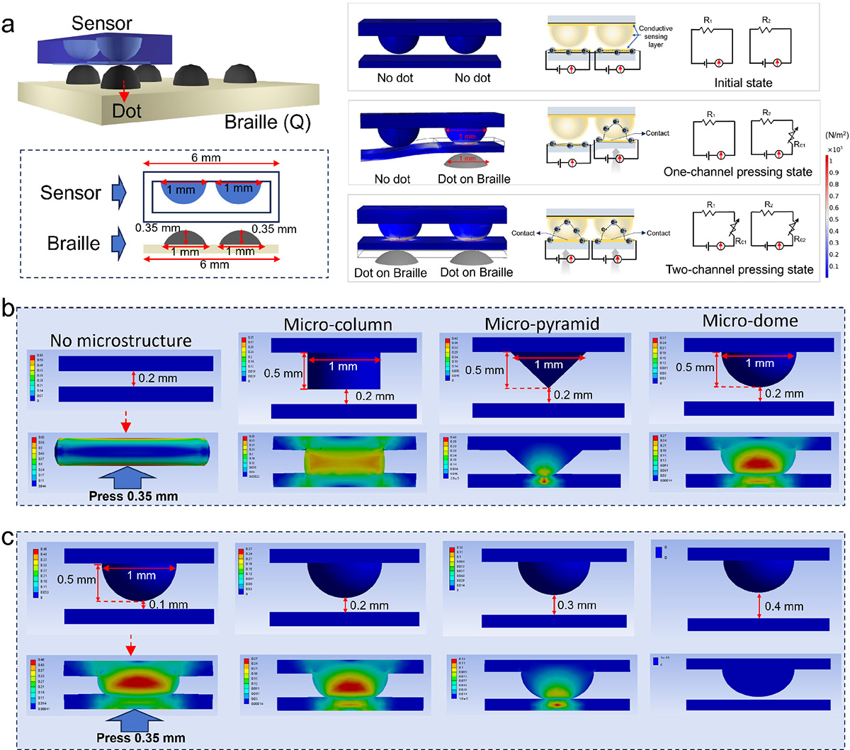 Figure 3 Refer to the following caption and surrounding text.