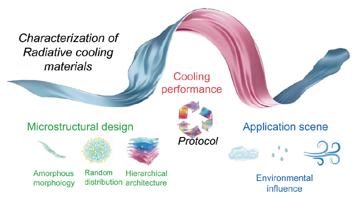 Figure 1 Refer to the following caption and surrounding text.