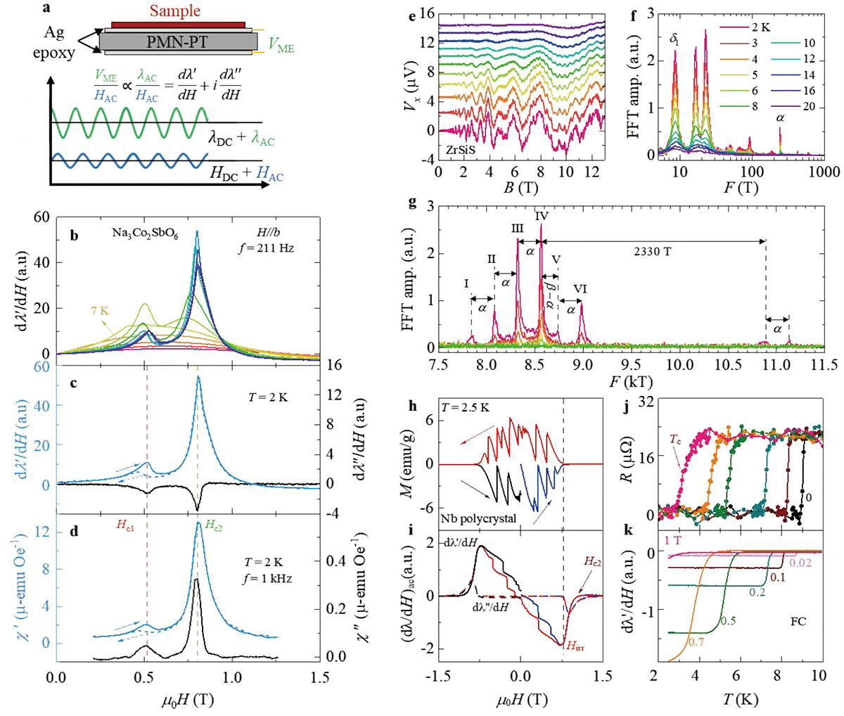 Figure 1 Refer to the following caption and surrounding text.
