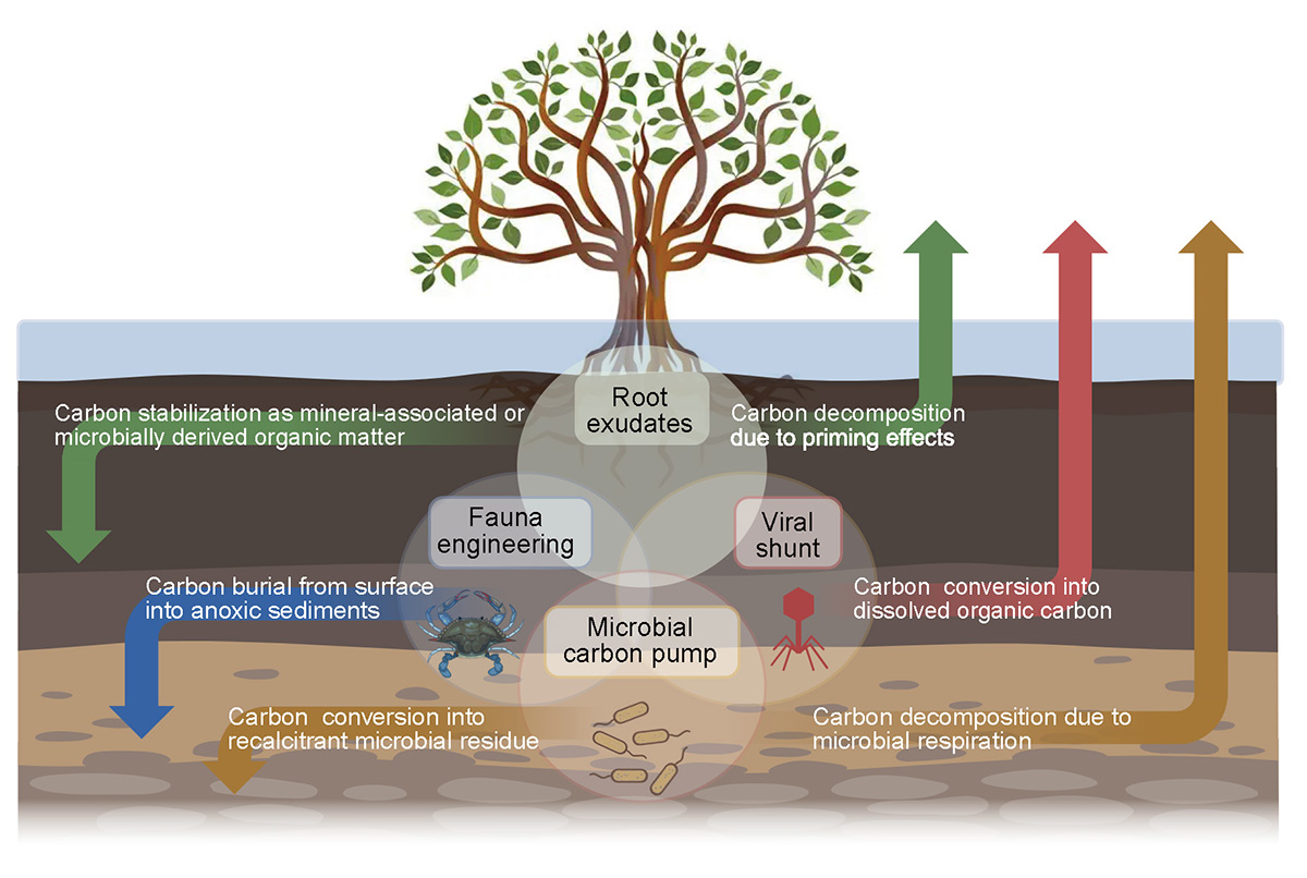 Figure 1 Refer to the following caption and surrounding text.
