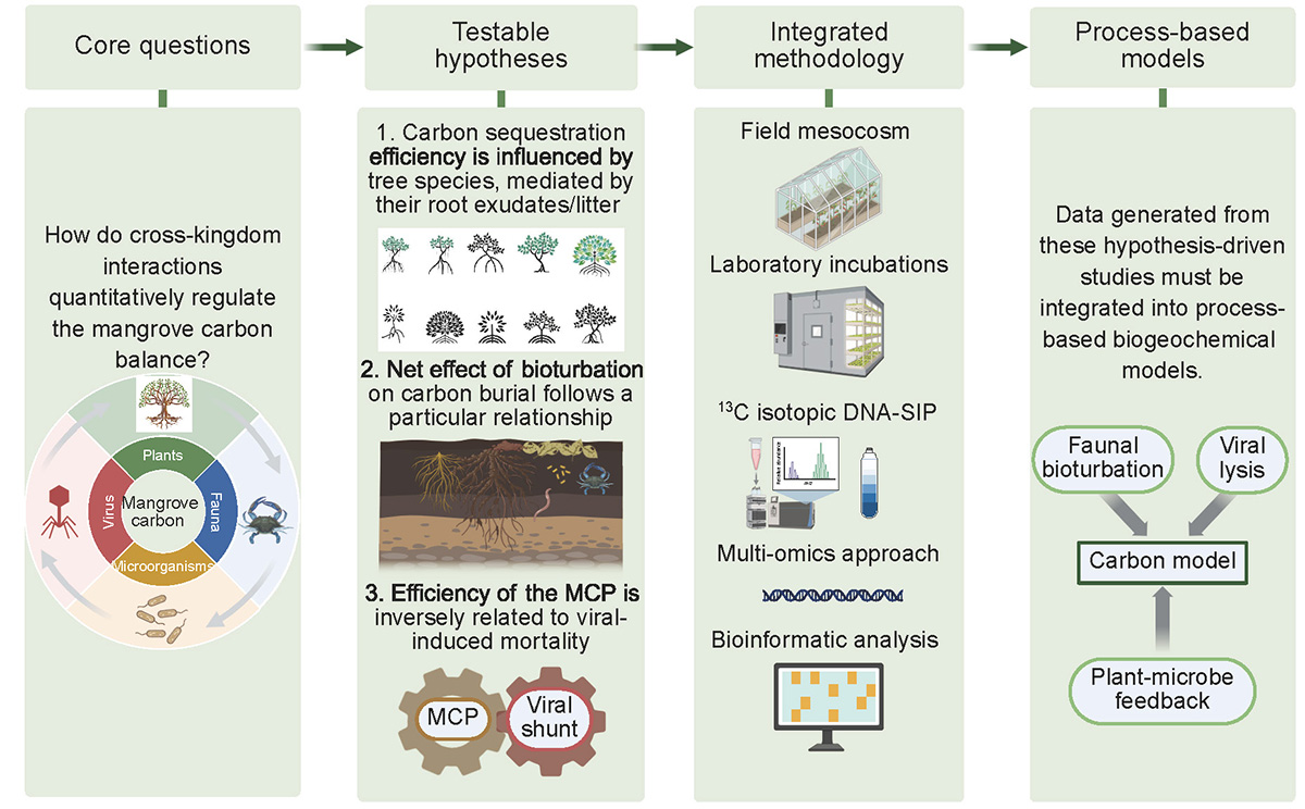 Figure 2 Refer to the following caption and surrounding text.