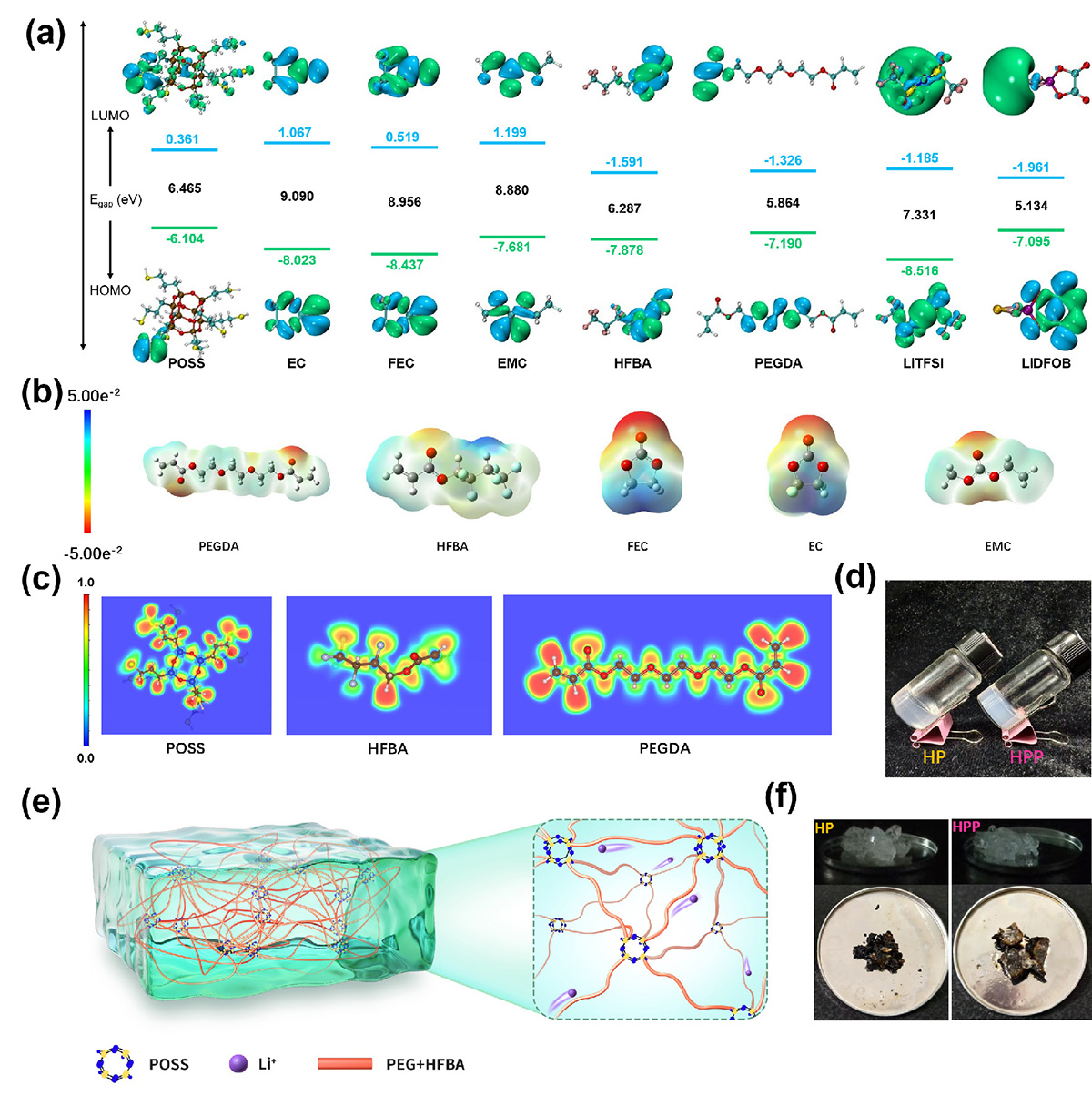 Figure 1 Refer to the following caption and surrounding text.