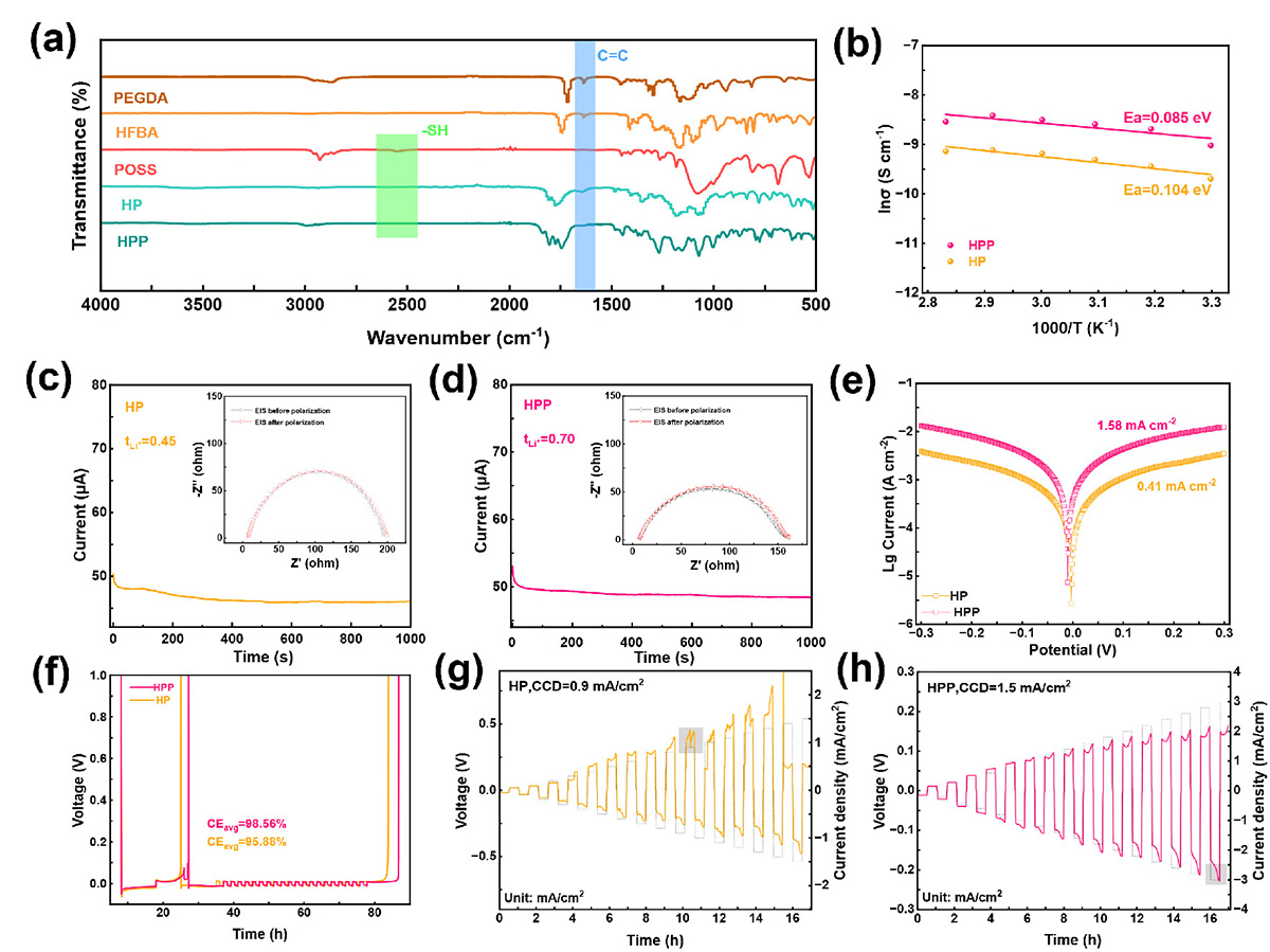 Figure 2 Refer to the following caption and surrounding text.
