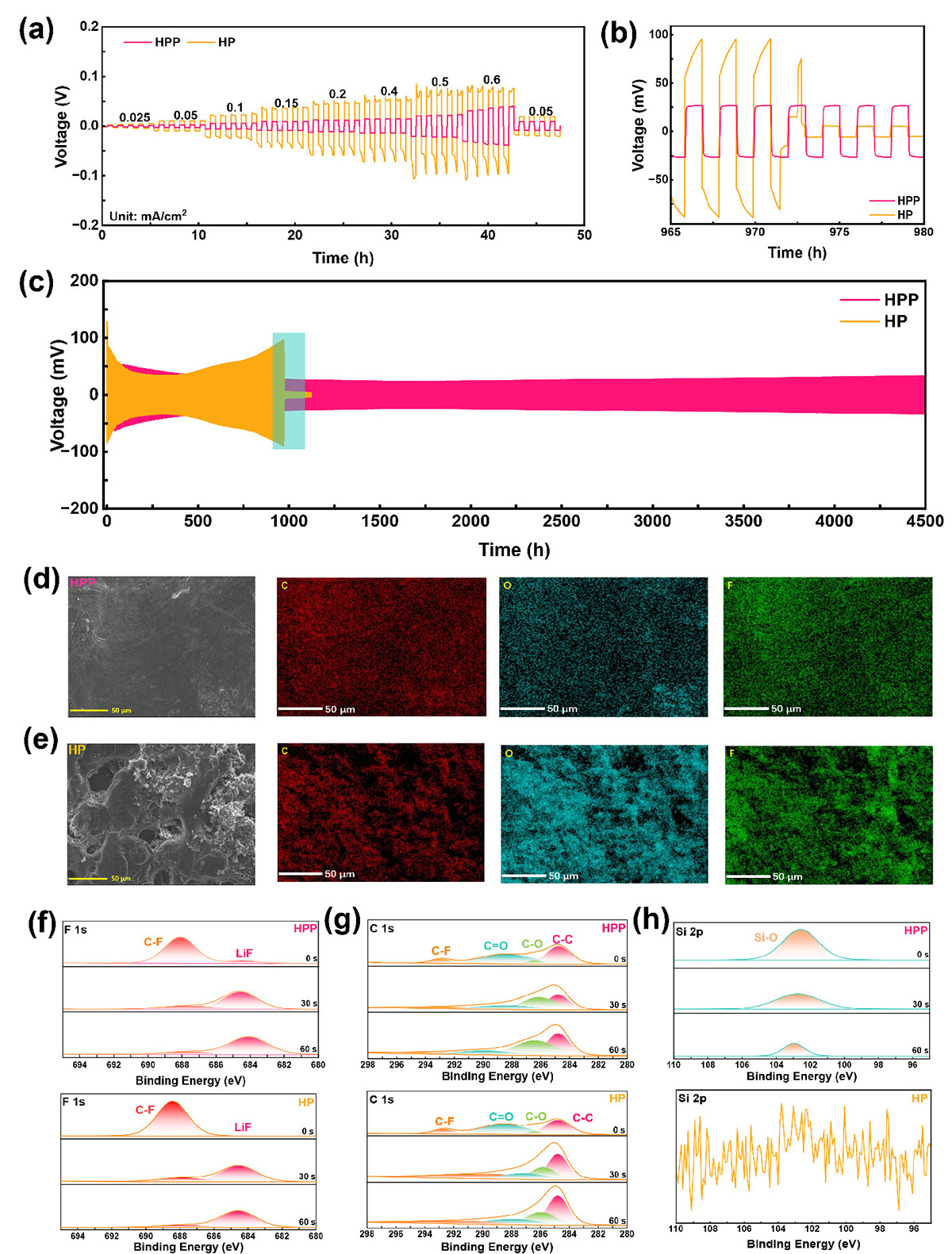 Figure 3 Refer to the following caption and surrounding text.