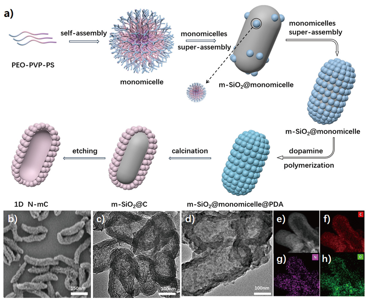 Figure 1 Refer to the following caption and surrounding text.