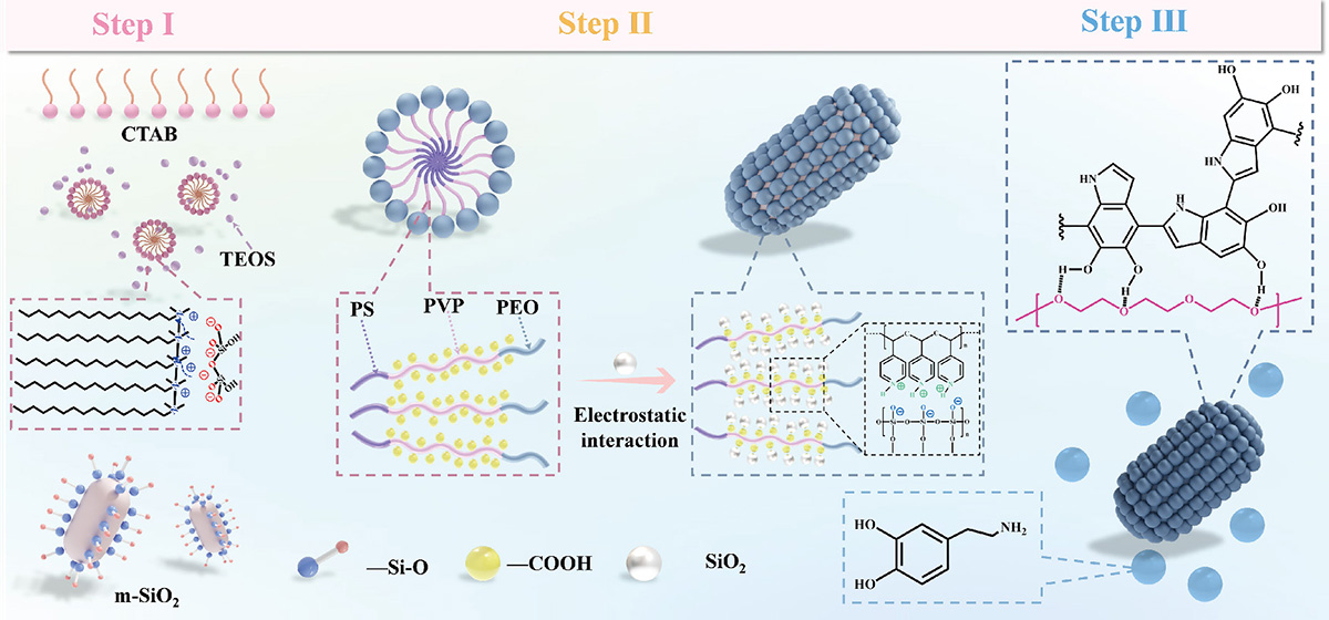 Figure 3 Refer to the following caption and surrounding text.