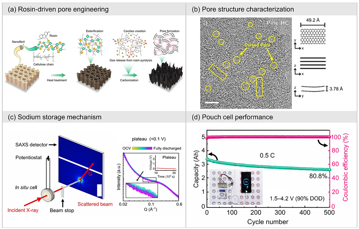 Figure 1 Refer to the following caption and surrounding text.