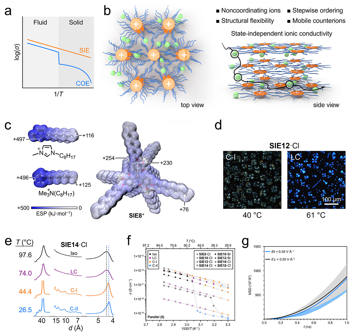 Figure 1 Refer to the following caption and surrounding text.