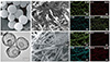 Thumbnail: Figure 1 Refer to the following caption and surrounding text.