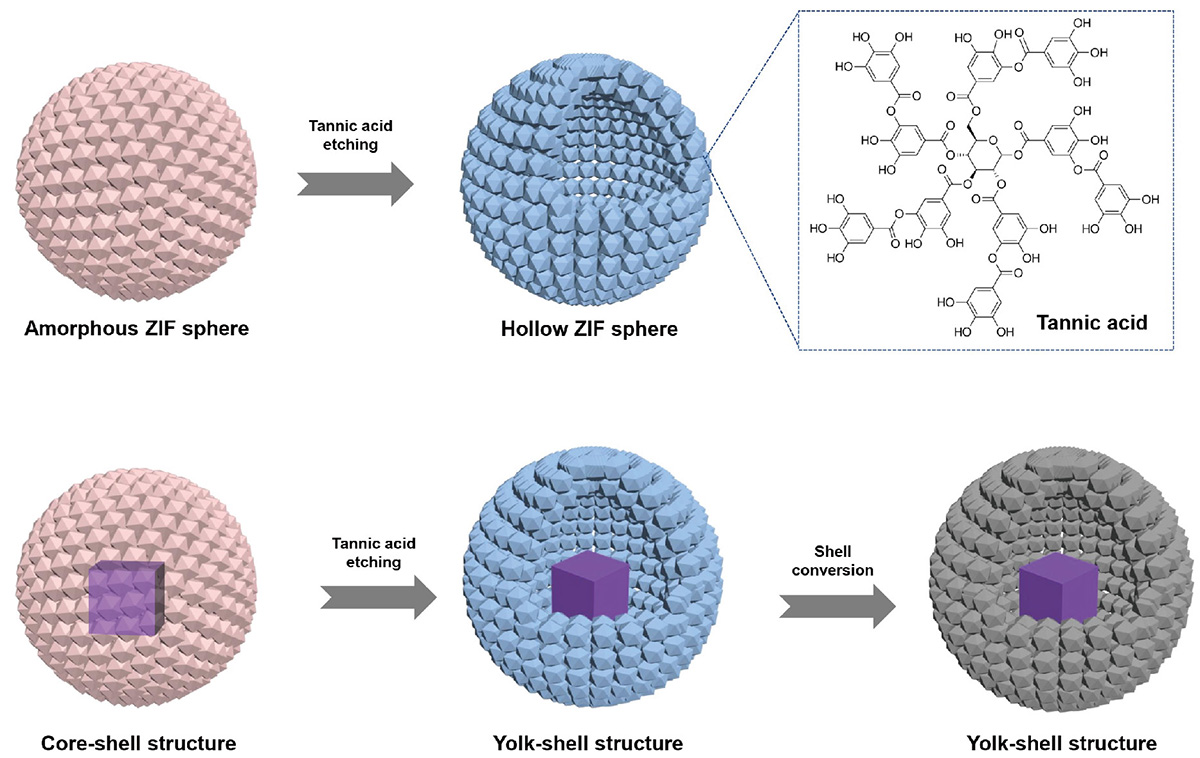 Figure 1 Refer to the following caption and surrounding text.