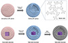 Thumbnail: Figure 1 Refer to the following caption and surrounding text.