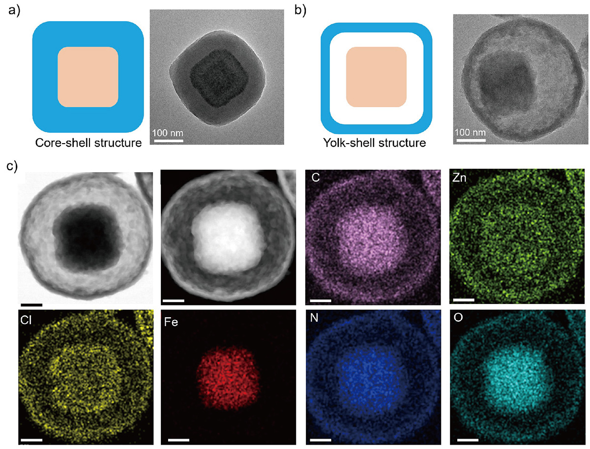 Figure 4 Refer to the following caption and surrounding text.