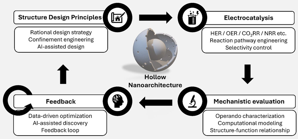 Figure 11 Refer to the following caption and surrounding text.