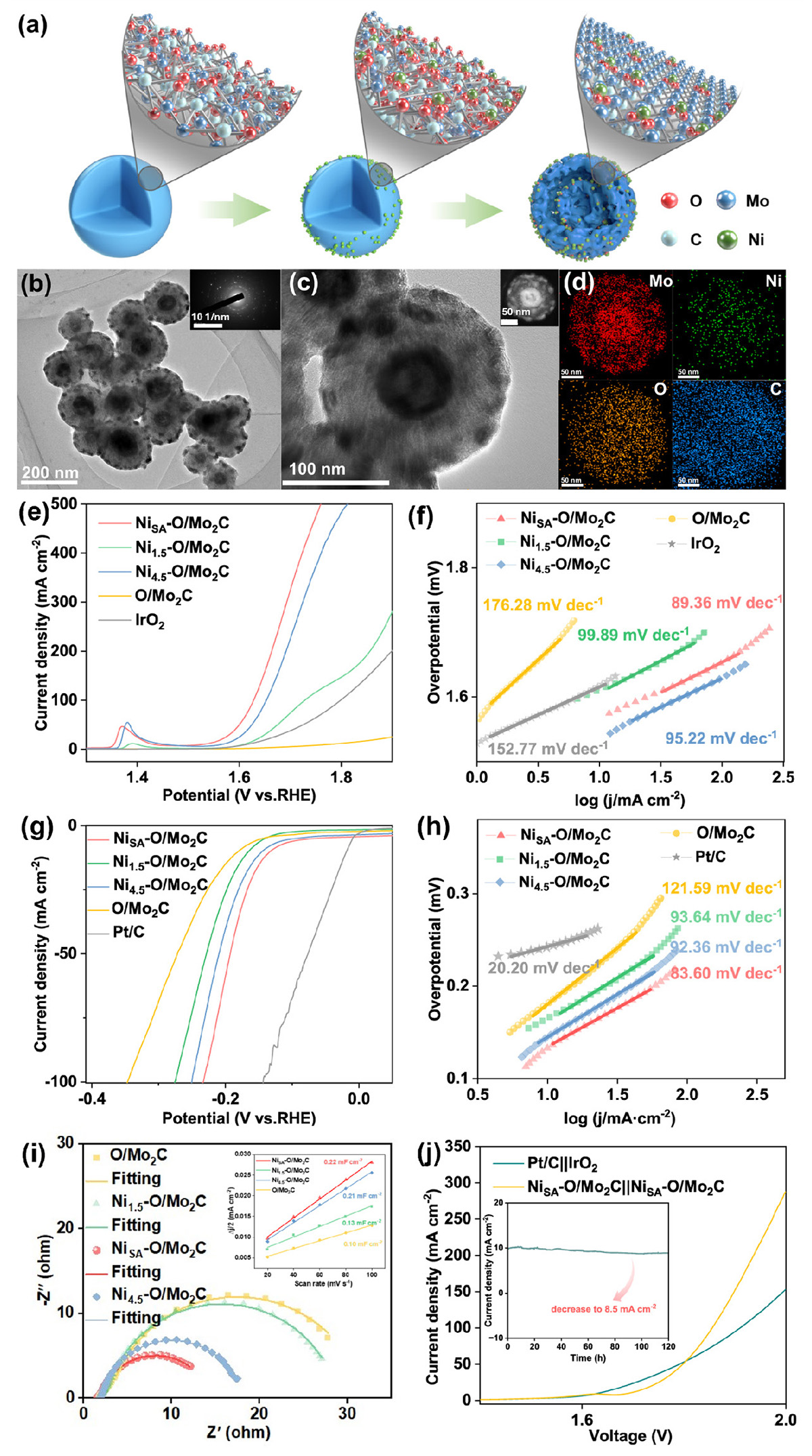 Figure 2 Refer to the following caption and surrounding text.