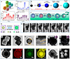 Thumbnail: Figure 3 Refer to the following caption and surrounding text.