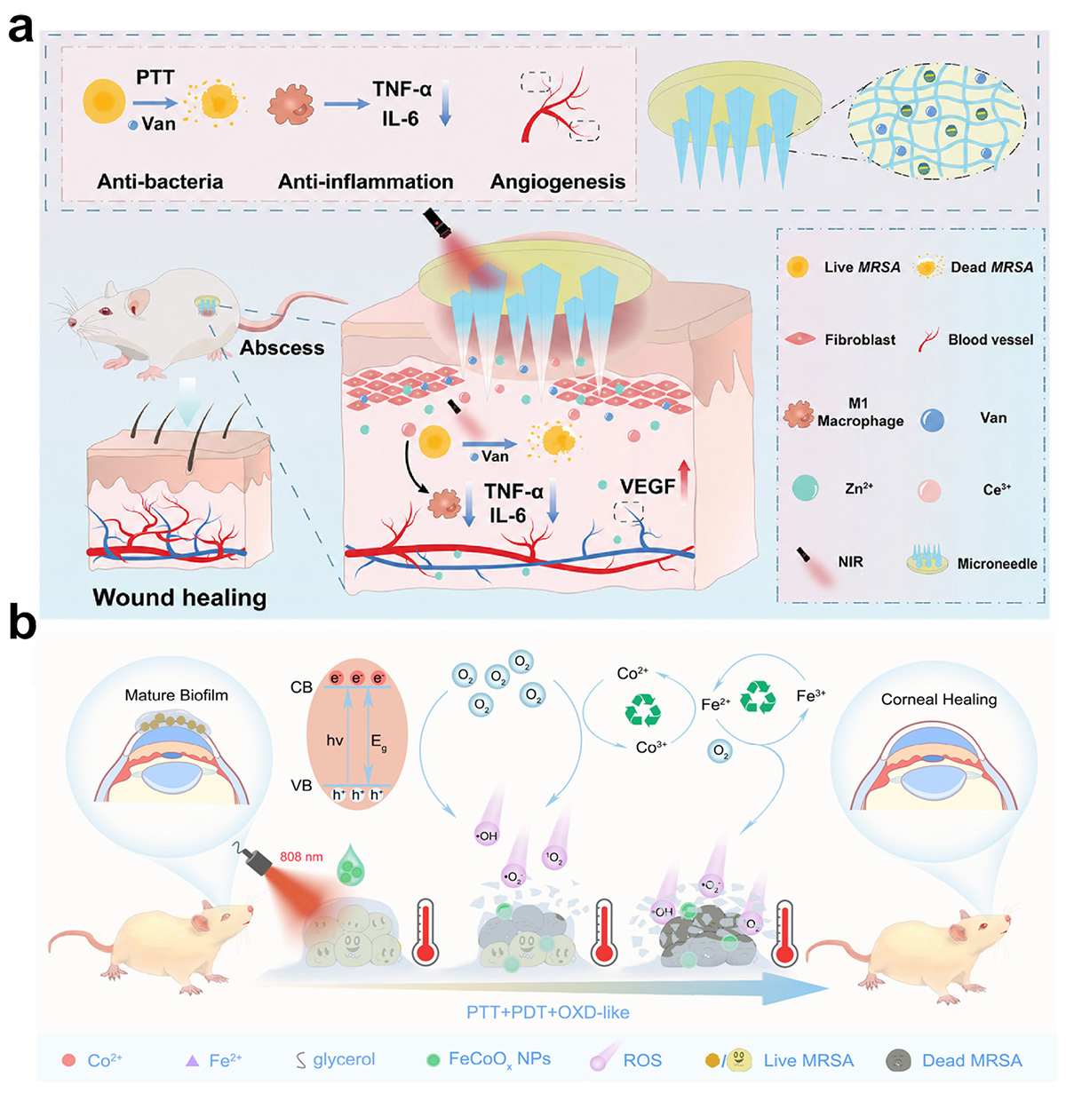 Figure 10 Refer to the following caption and surrounding text.