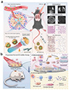 Thumbnail: Figure 12 Refer to the following caption and surrounding text.