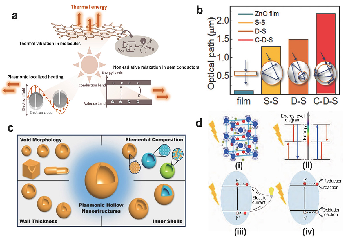 Figure 2 Refer to the following caption and surrounding text.