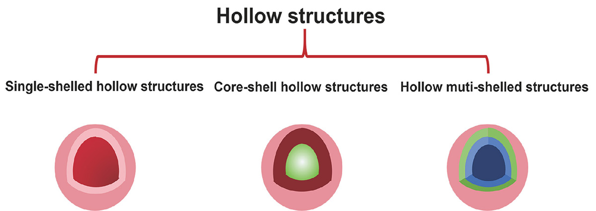 Figure 3 Refer to the following caption and surrounding text.