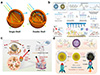 Thumbnail: Figure 4 Refer to the following caption and surrounding text.