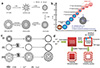 Thumbnail: Figure 5 Refer to the following caption and surrounding text.