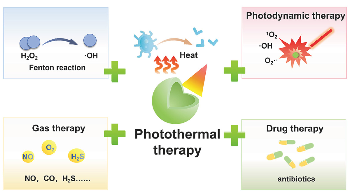 Figure 6 Refer to the following caption and surrounding text.