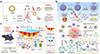 Thumbnail: Figure 9 Refer to the following caption and surrounding text.