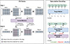 Thumbnail: Figure 11 Refer to the following caption and surrounding text.