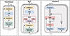 Thumbnail: Figure 9 Refer to the following caption and surrounding text.