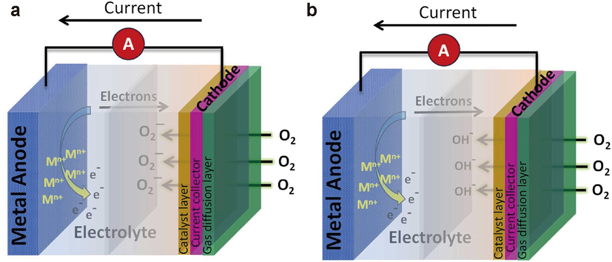 Figure 2 Refer to the following caption and surrounding text.