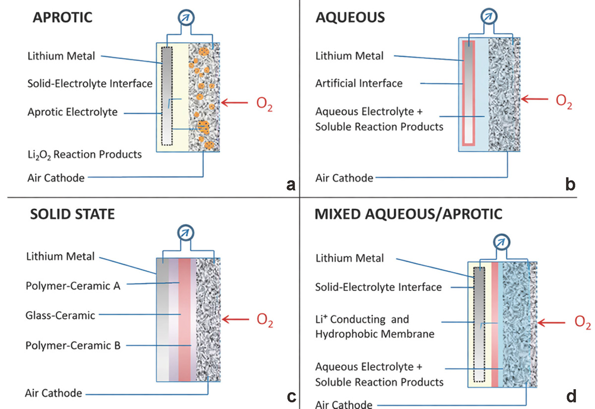 Figure 3 Refer to the following caption and surrounding text.