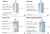 Thumbnail: Figure 3 Refer to the following caption and surrounding text.