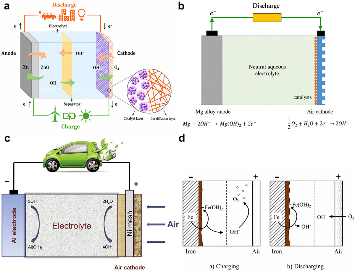 Figure 4 Refer to the following caption and surrounding text.